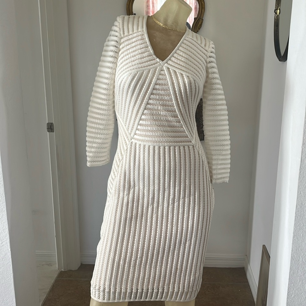 Stunning Reiss Sheer Illusion Dress